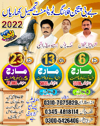 بےبی پيجن ٹورنامنٹ تحصيل کھارياں