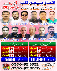 Itfaq pigeons Club Teseel Kharian