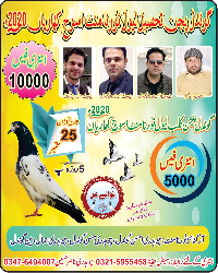 Gondal pigeon cup